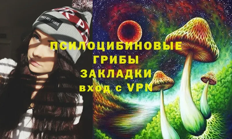 Галлюциногенные грибы Psilocybine cubensis  Верещагино 